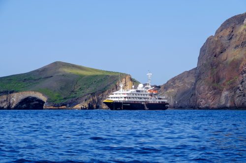 cruise