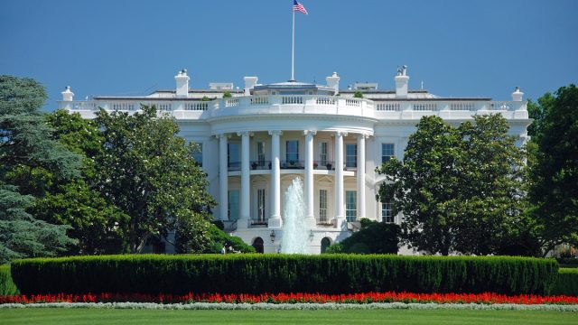 the white house