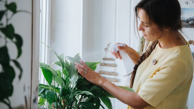 woman spraying plants with spray bottle