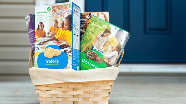 assortment of girl scout cookies in basket