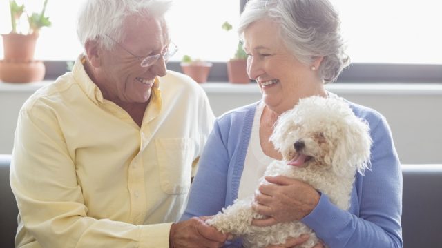 senior couple holding dog