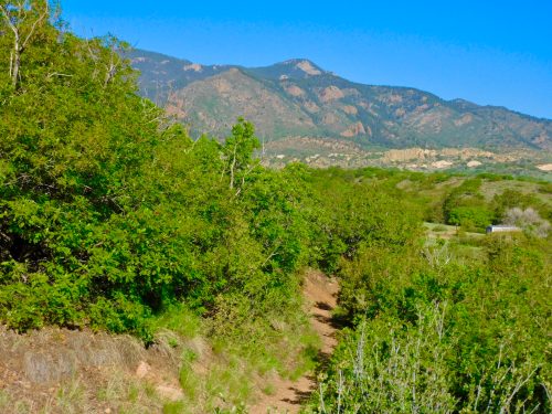 beer creek regional park in colorado springs