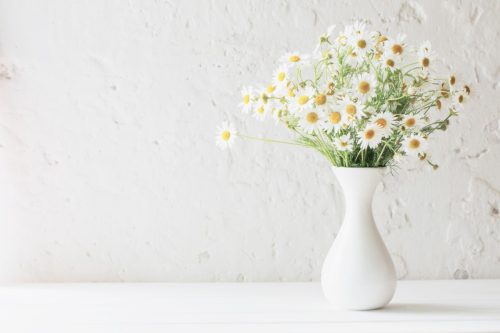 bouquet of daisies