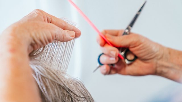 Close-Up Shot of a Professional Hair Stylist's Hands Cutting gray hair