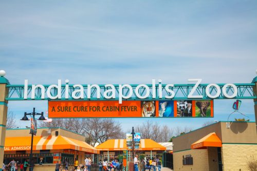 indianapolis zoo