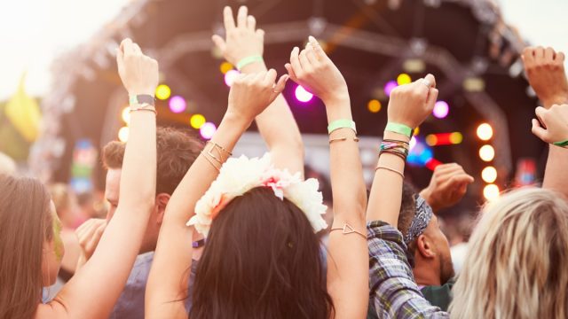 Crowd at a Music Festival