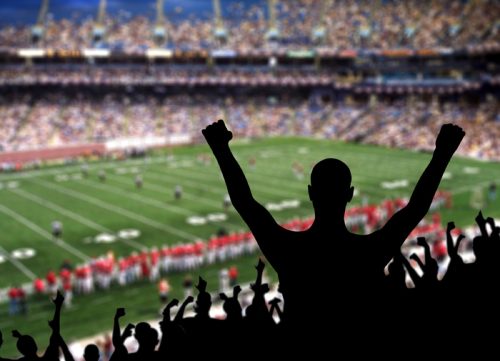 football fan cheering at game