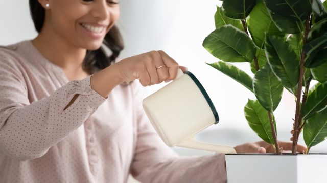 Smiling woman holding a pot watering green plant at home