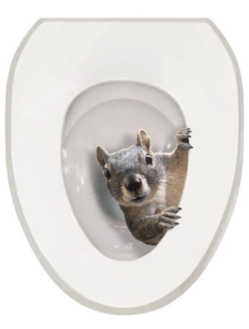 squirrel toilet lid tattoo cover