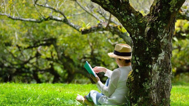 Middle aged woman sitting under a tree reading a book in the park