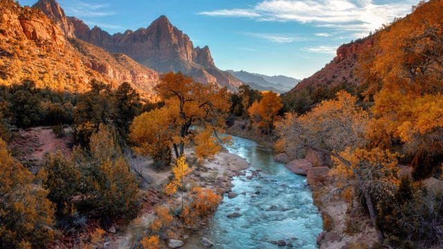 zion national park virgin river