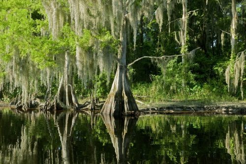 everglades national park