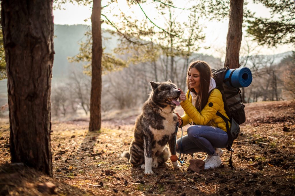 Woman with her dog hiking in the forest, getting away from the city