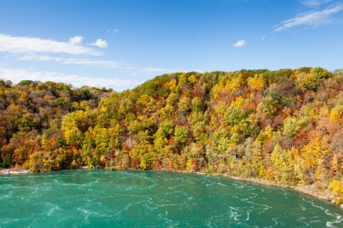 fall foliage at niagara whirlpool