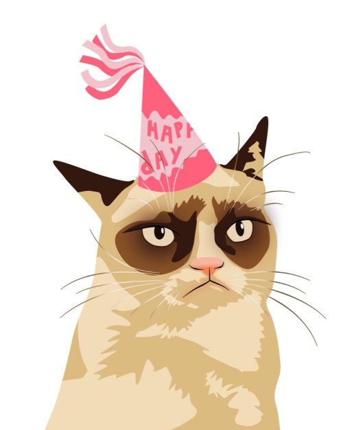grumpy cat meme