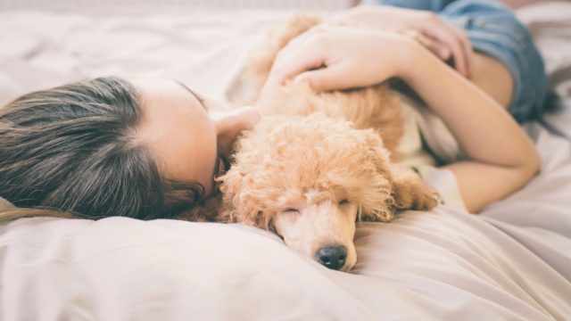 woman sleeping with dog on bed