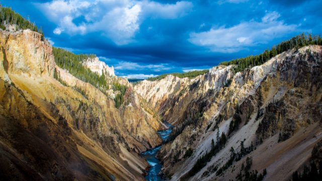 yellowstone national park
