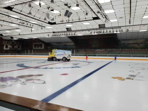 Redwood Ice Skating Rink