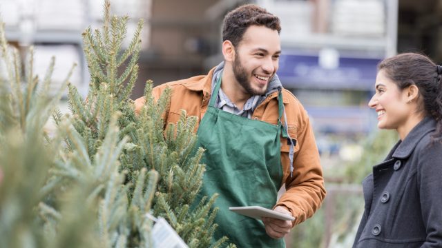 A Christmas tree vendor selling a tree to a young woman