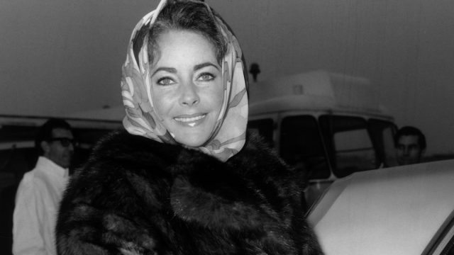 Elizabeth Taylor photographed next to a car circa 1958