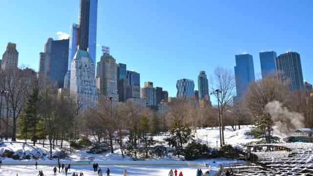 Central park ice skating rink