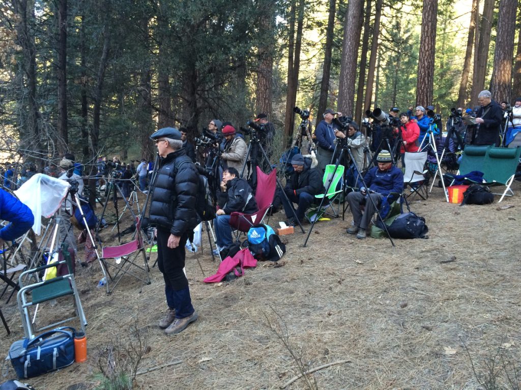 A group of photographers crowding a riverbank to get a photo of Firefall at Yosemite