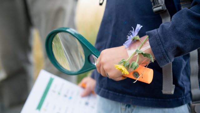 boy holding a magnifying glass and a list of scavenger hunt clues