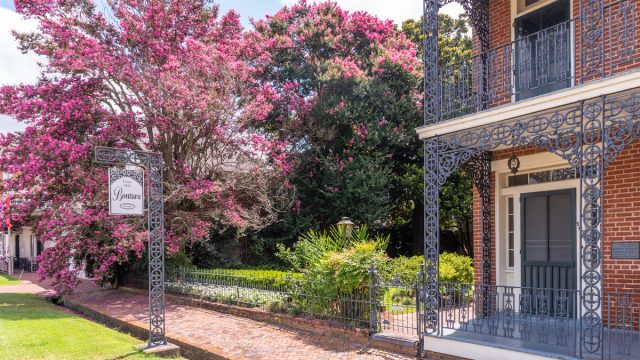 Cherry blossoms and building in Natchez, Mississippi