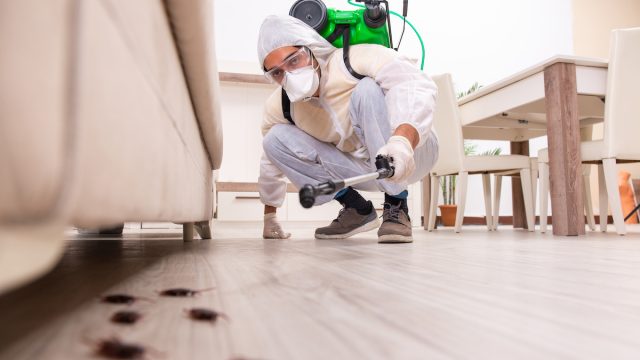 An exterminator dealing with a bug infestation.