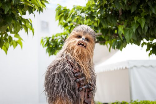 chewbacca 