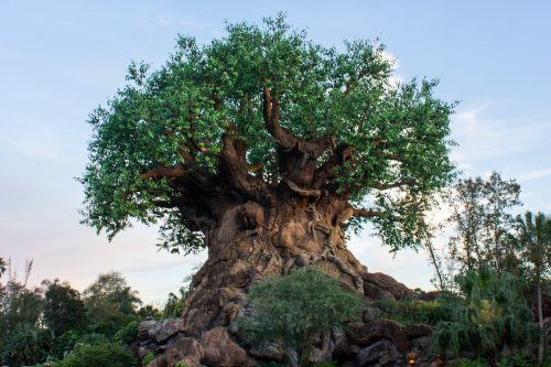 disney world tree of life