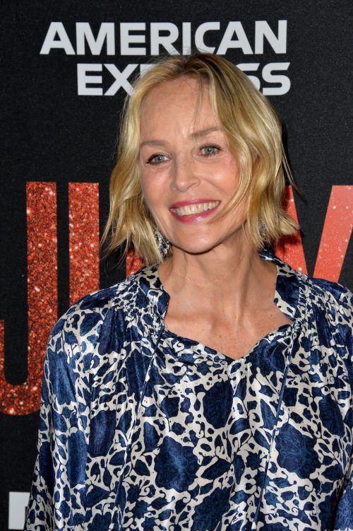 Sharon Stone at the premiere of "Judy" in 2019