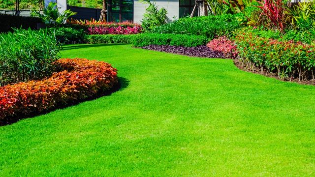 landscaped-front-lawn