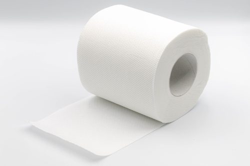 toilet paper roll on white background