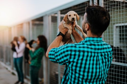 man playing with puppy at an animal shelter