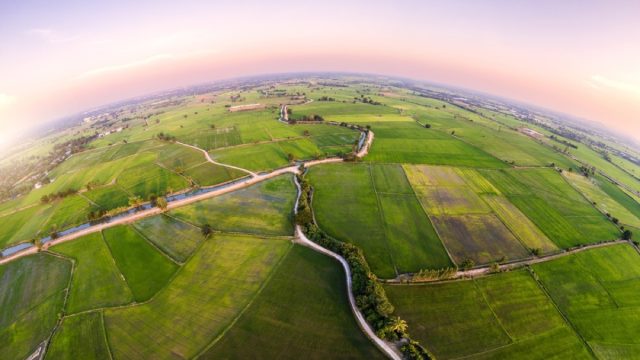 green rice paddies from above showing the curve of the earth - world facts