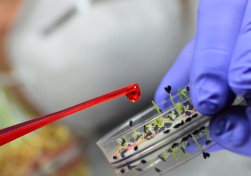 Genetic modified organisms, one of the greatest scientific discoveries of our time.