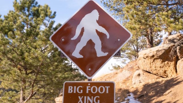 A Bigfoot Crossing road sign in the wilderness