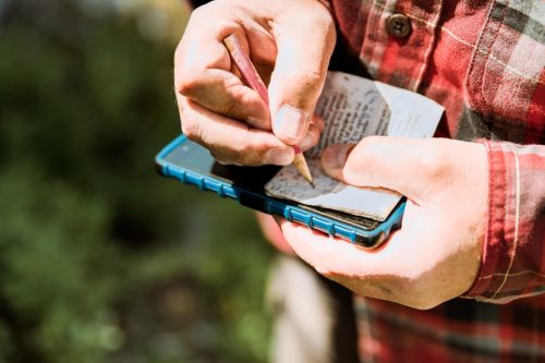 A man finding a geocache in the forest with gps.