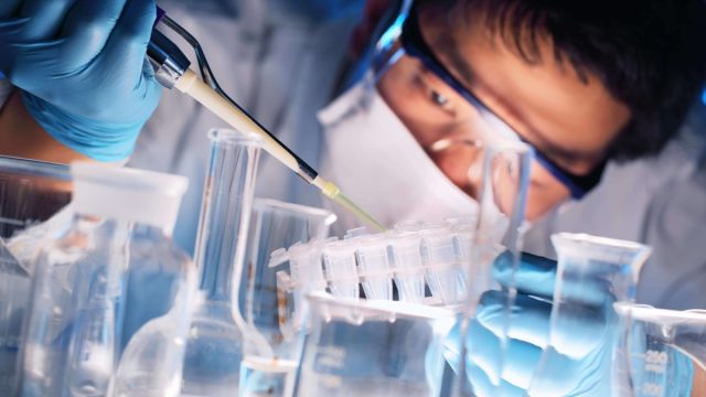 Scientist holds and examine samples