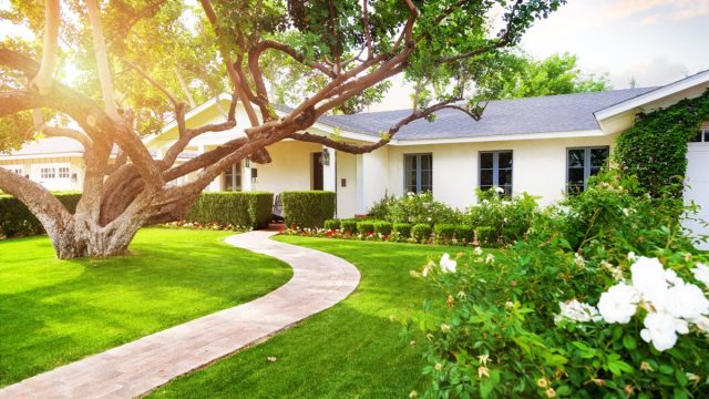 front yard with beautiful landscaping