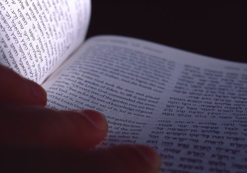 picture of someone going through the Torah for facts about Hanukkah