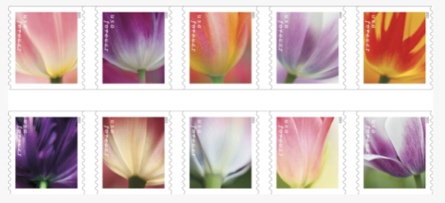 usps tulip stamps