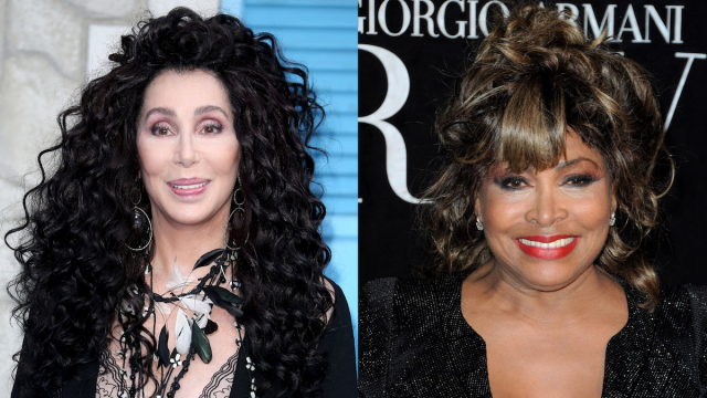 Cher in 2018; Tina Turner in 2010