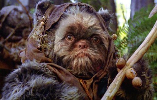 Ewok in Return of the Jedi