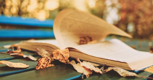 open book surrounded by falling leaves