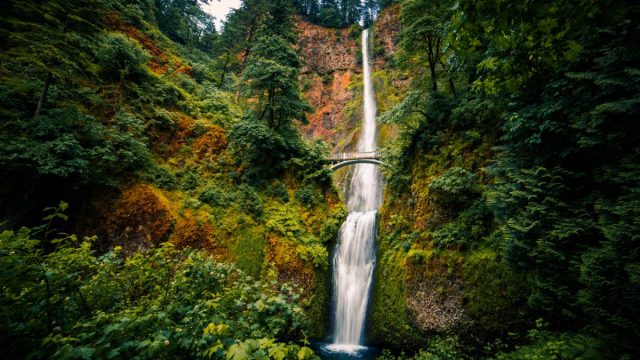 Multnomah Falls in Summer. Columbia River Gorge, Oregon, USA