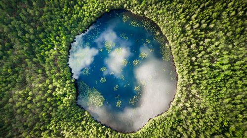 aerial view of lake