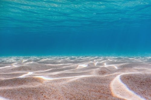 Sandy sea bottom Underwater background