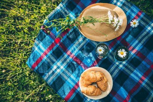 outdoor picnic blanket